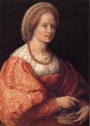 Andrea del Sarto Portrait of woman Holding basket oil painting reproduction